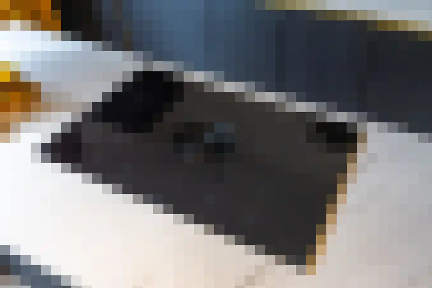 Julianaplein 8 Boskoop thumbnail 15