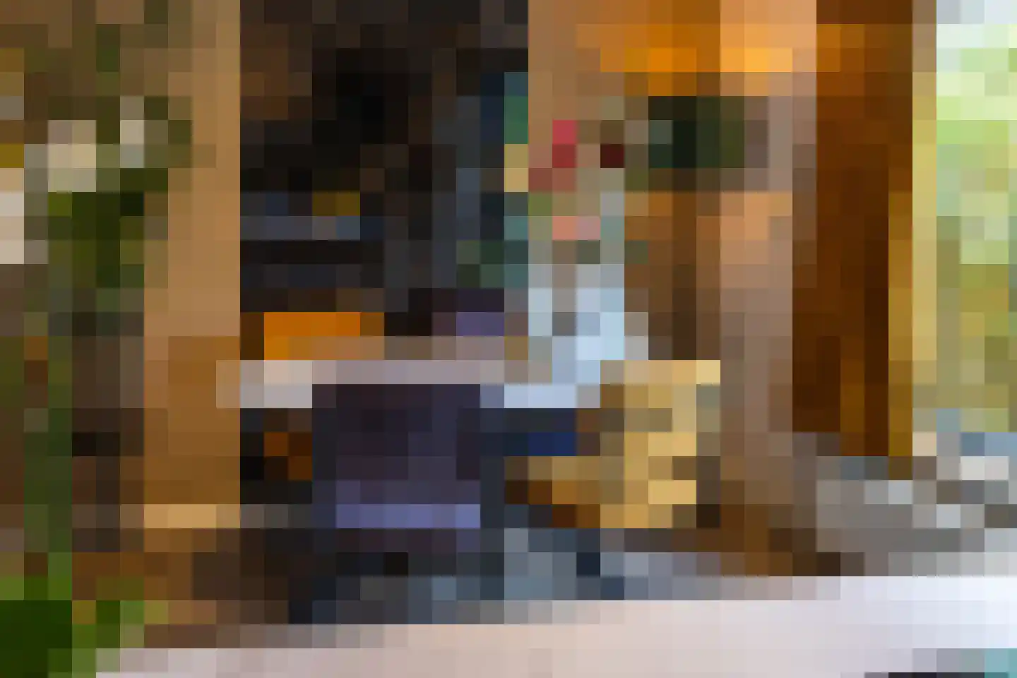Julianaplein 8 Boskoop thumbnail 17