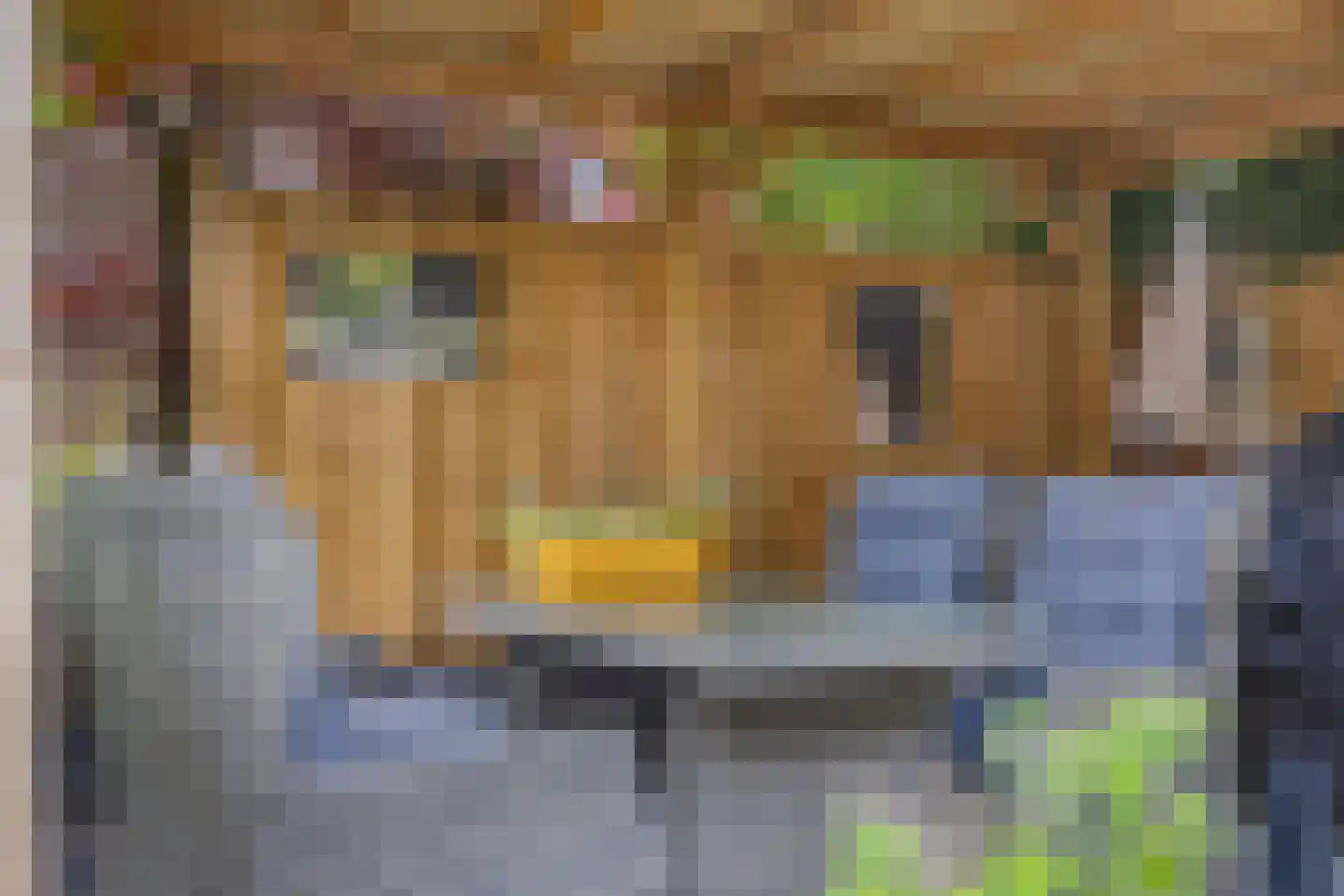 Julianaplein 8 Boskoop thumbnail 23