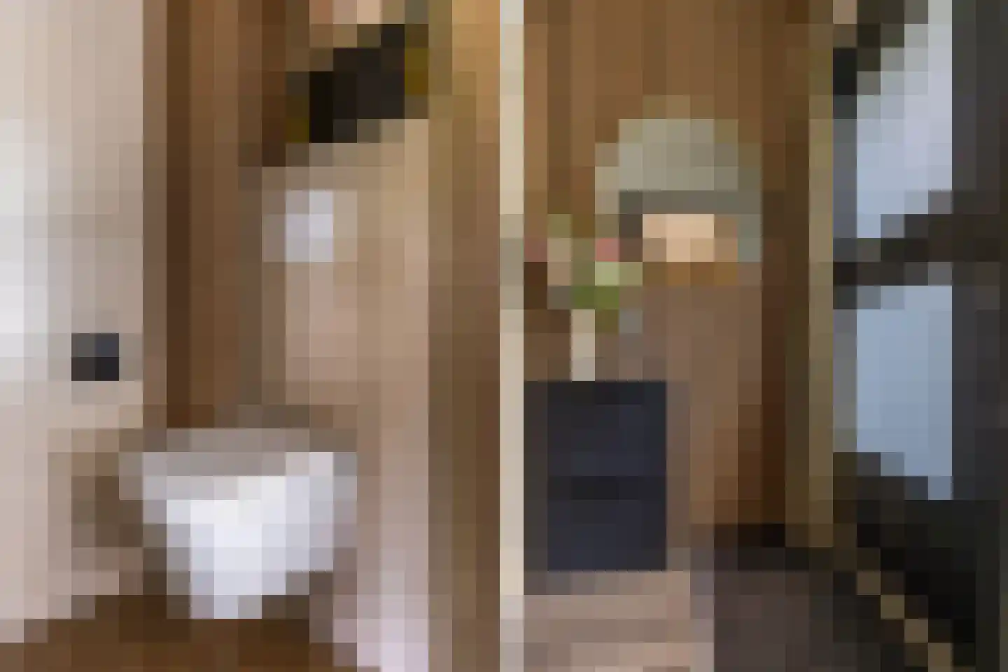 Julianaplein 8 Boskoop thumbnail 36