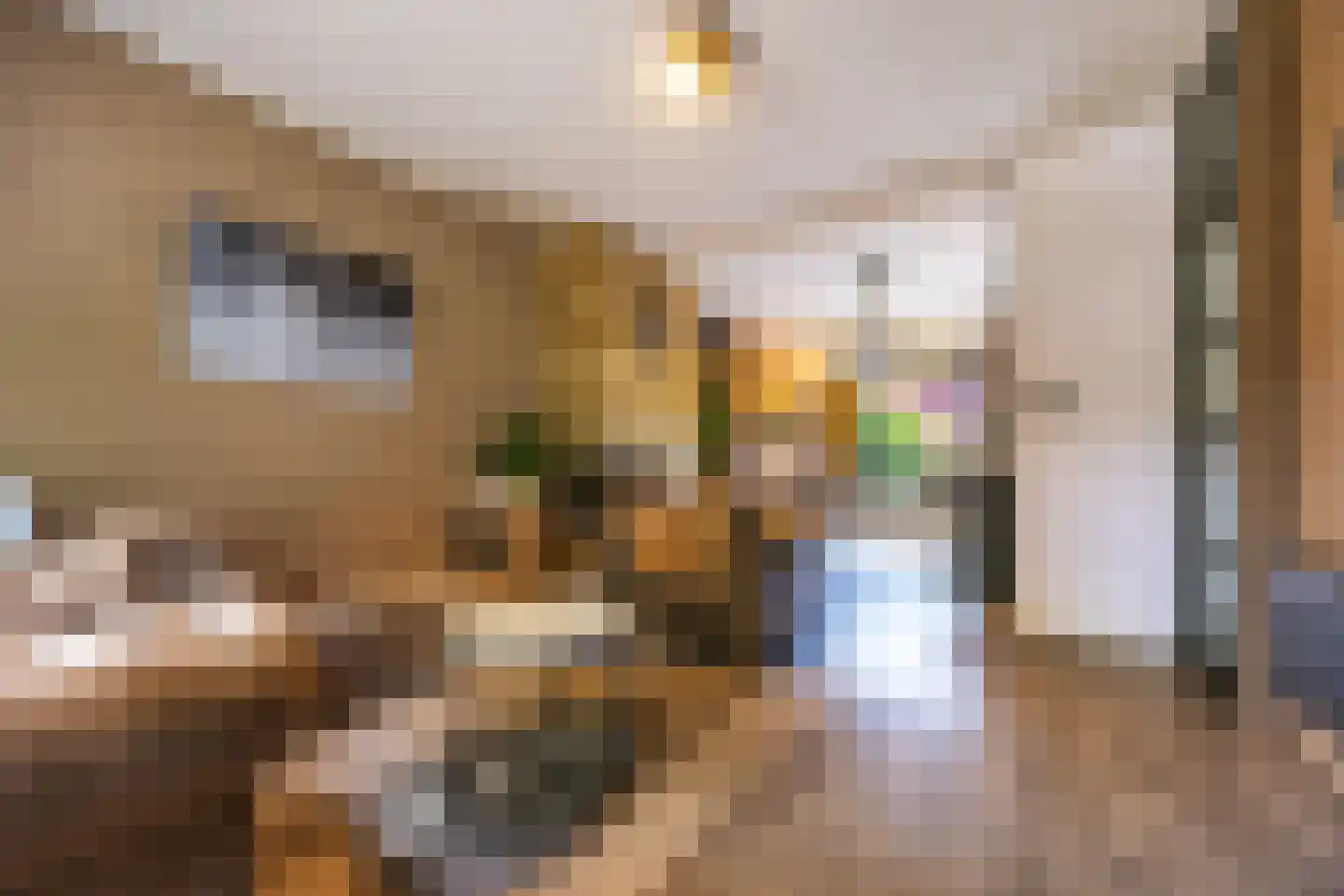 Julianaplein 8 Boskoop thumbnail 4