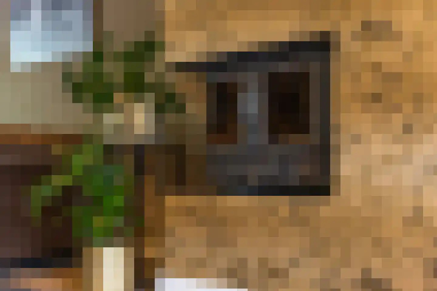 Julianaplein 8 Boskoop thumbnail 6
