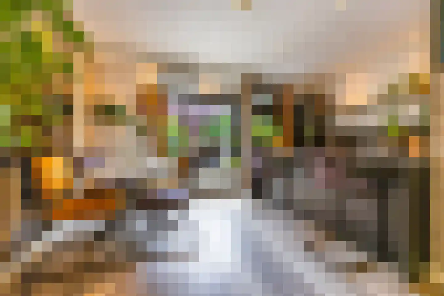 Julianaplein 8 Boskoop thumbnail 7