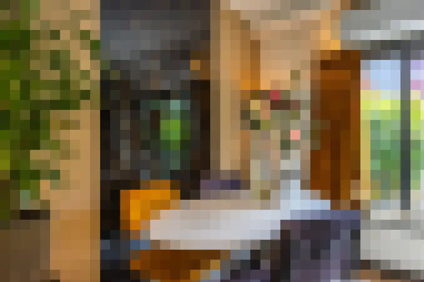 Julianaplein 8 Boskoop thumbnail 9