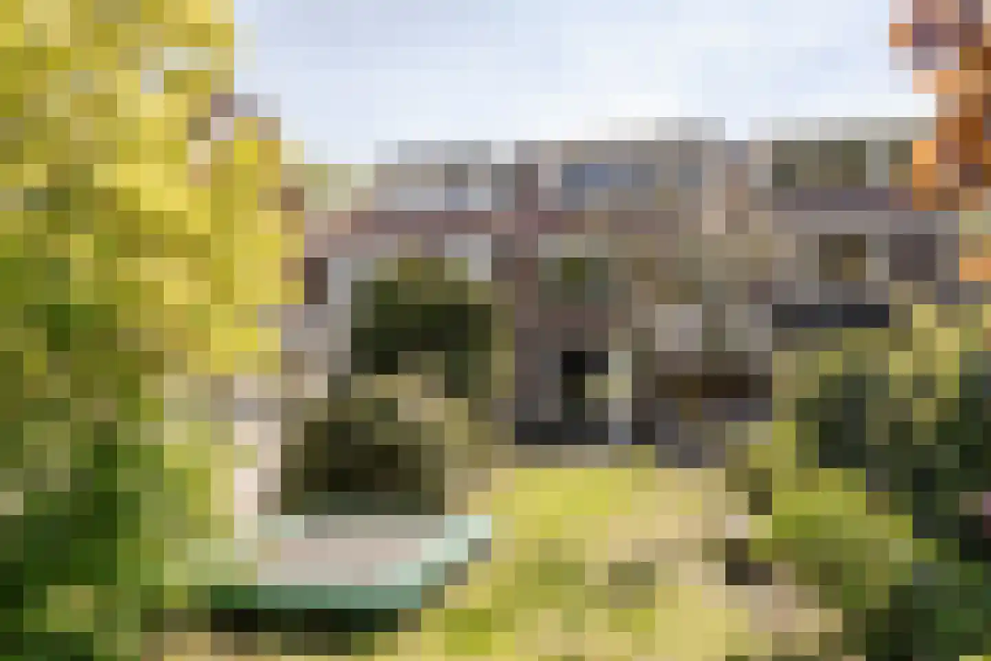 Julianaplein 9 Heemstede thumbnail 22