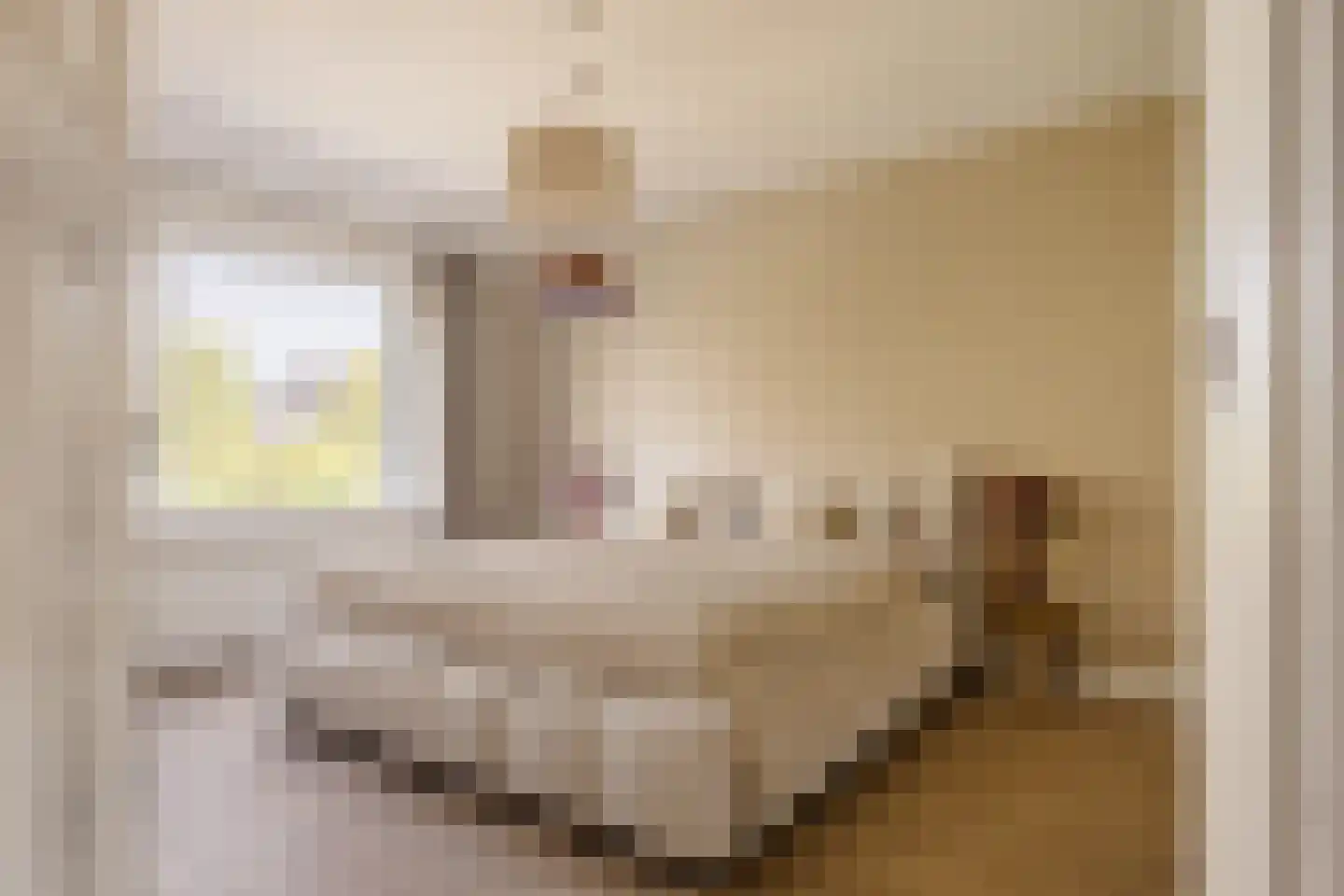 Julianaplein 9 Heemstede thumbnail 35