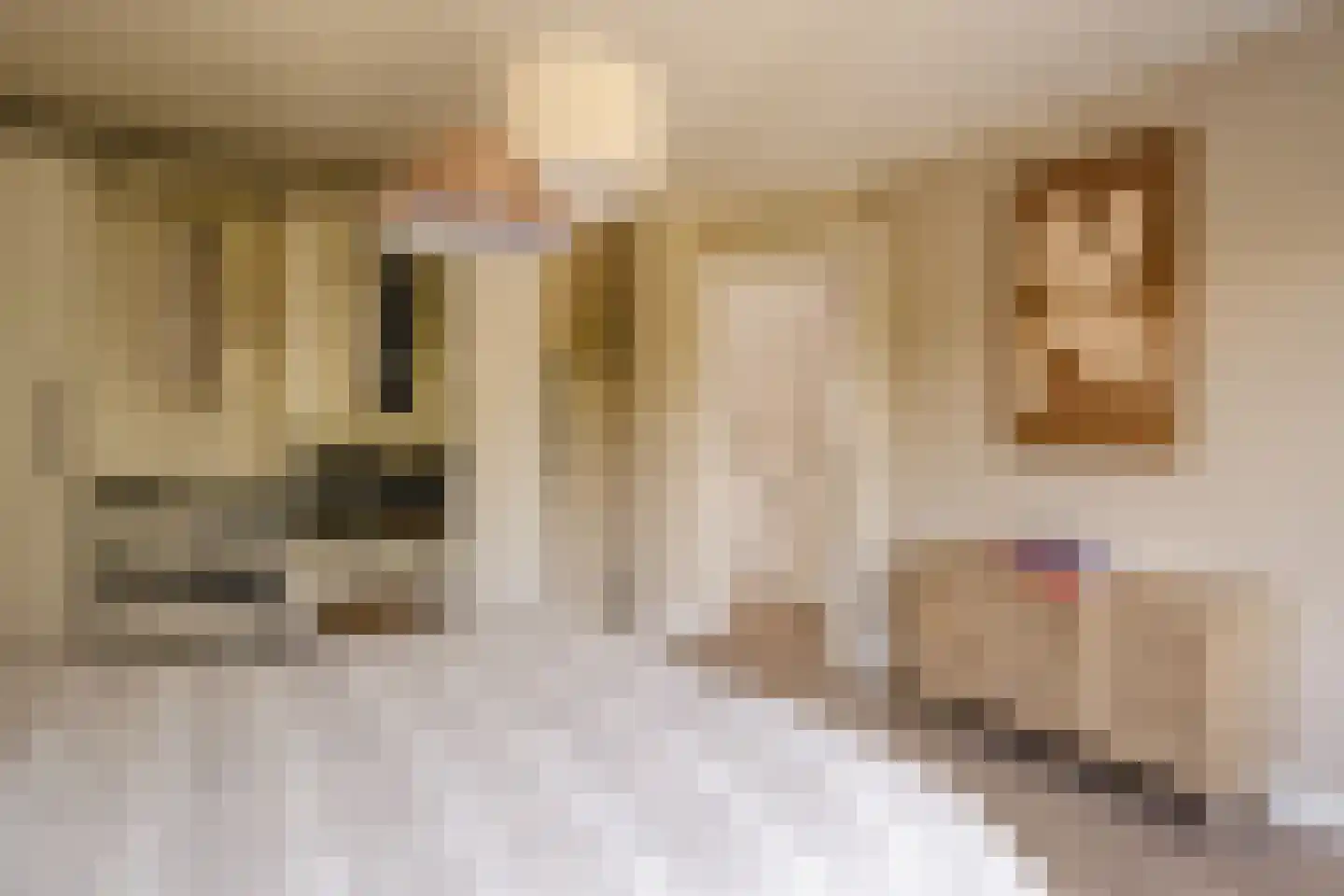 Julianaplein 9 Heemstede thumbnail 37