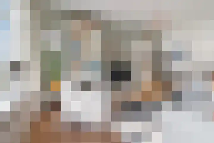 Julianaplein 91 Den Helder thumbnail 10