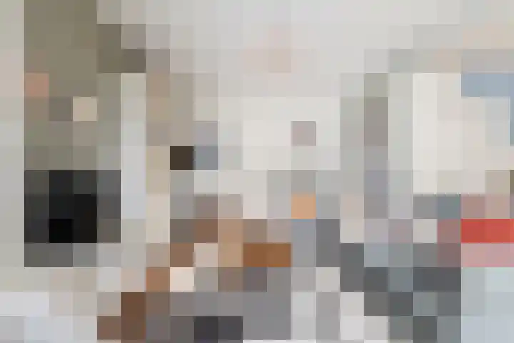 Julianaplein 91 Den Helder thumbnail 11