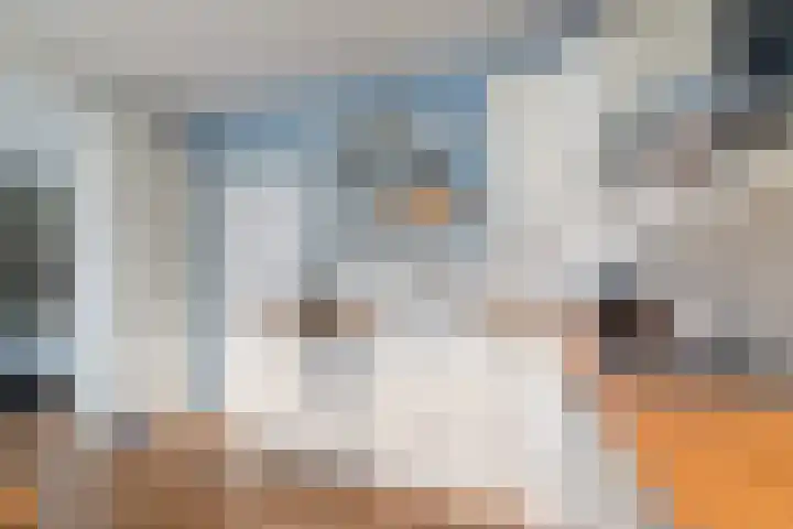 Julianaplein 91 Den Helder thumbnail 17