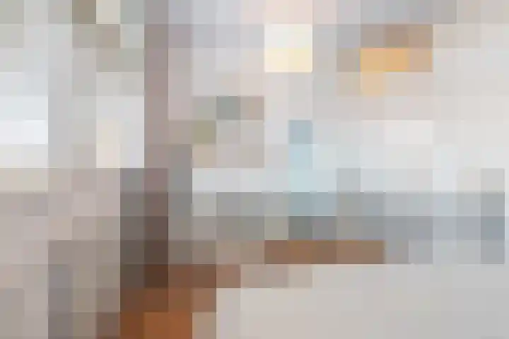Julianaplein 91 Den Helder thumbnail 24