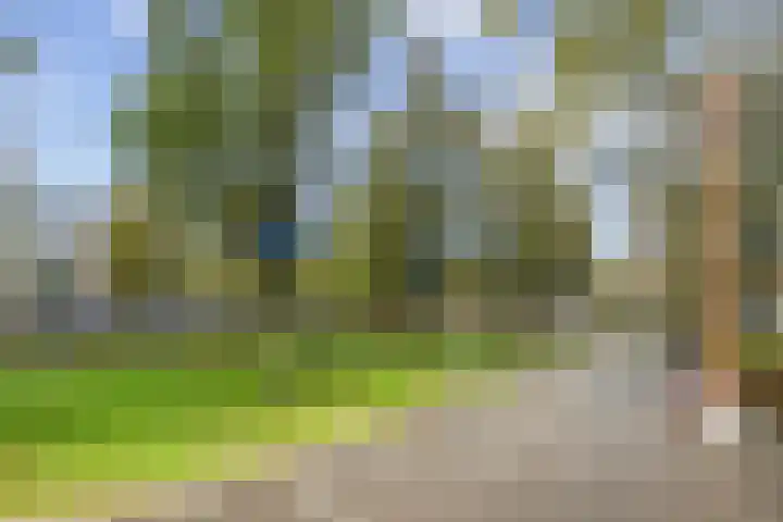 Julianaplein 91 Den Helder thumbnail 30