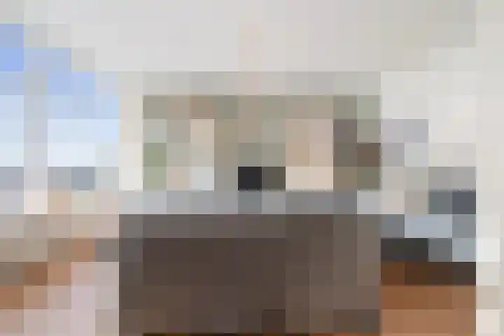 Julianaplein 91 Den Helder thumbnail 9