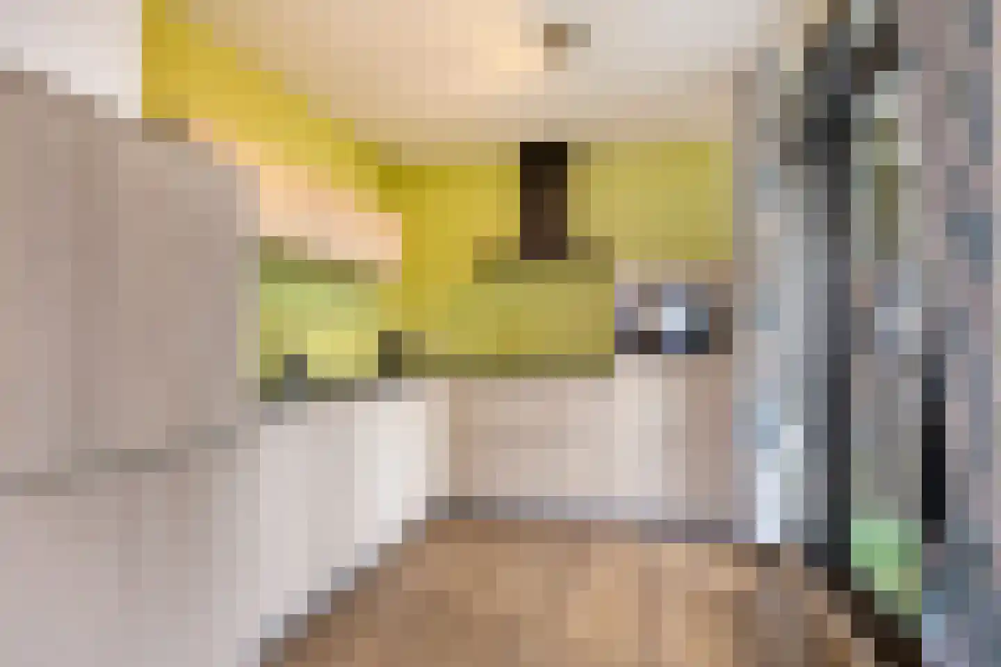 Julianaplein 99 e Beuningen Gld thumbnail 10
