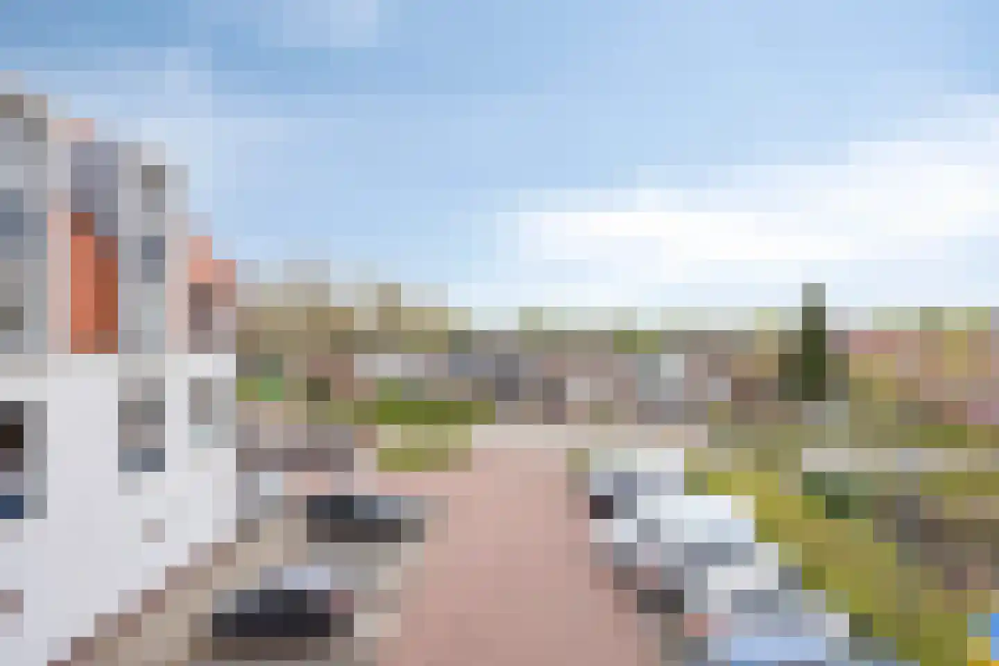 Julianaplein 99 e Beuningen Gld thumbnail 13