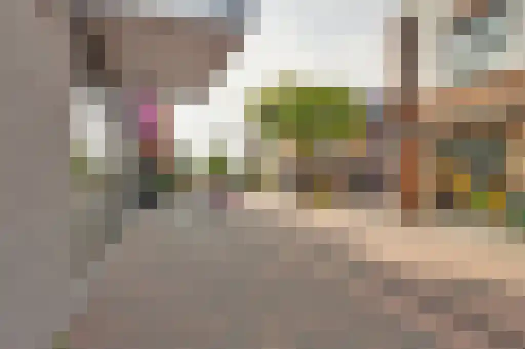 Julianaplein 99 e Beuningen Gld thumbnail 30