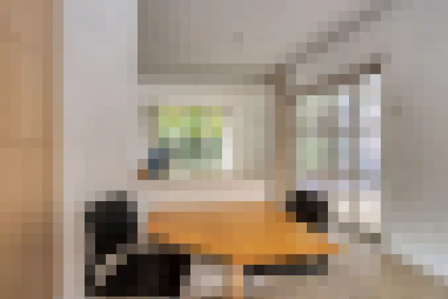 Julianasingel 30 Venray thumbnail 13
