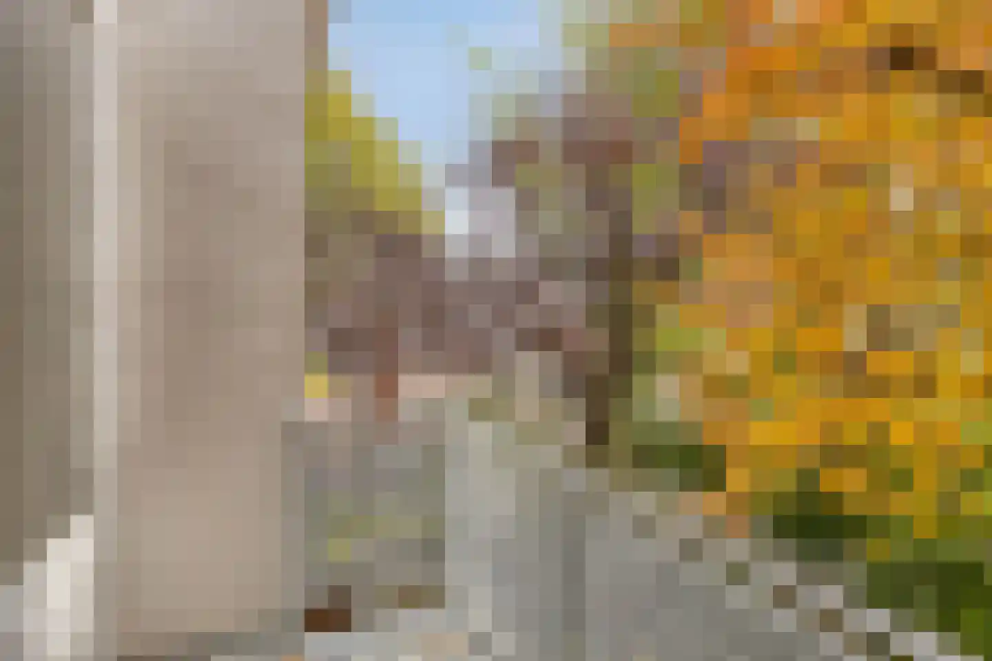 Julianasingel 30 Venray thumbnail 20
