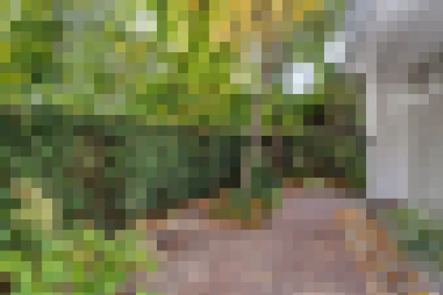 Julianasingel 30 Venray thumbnail 33