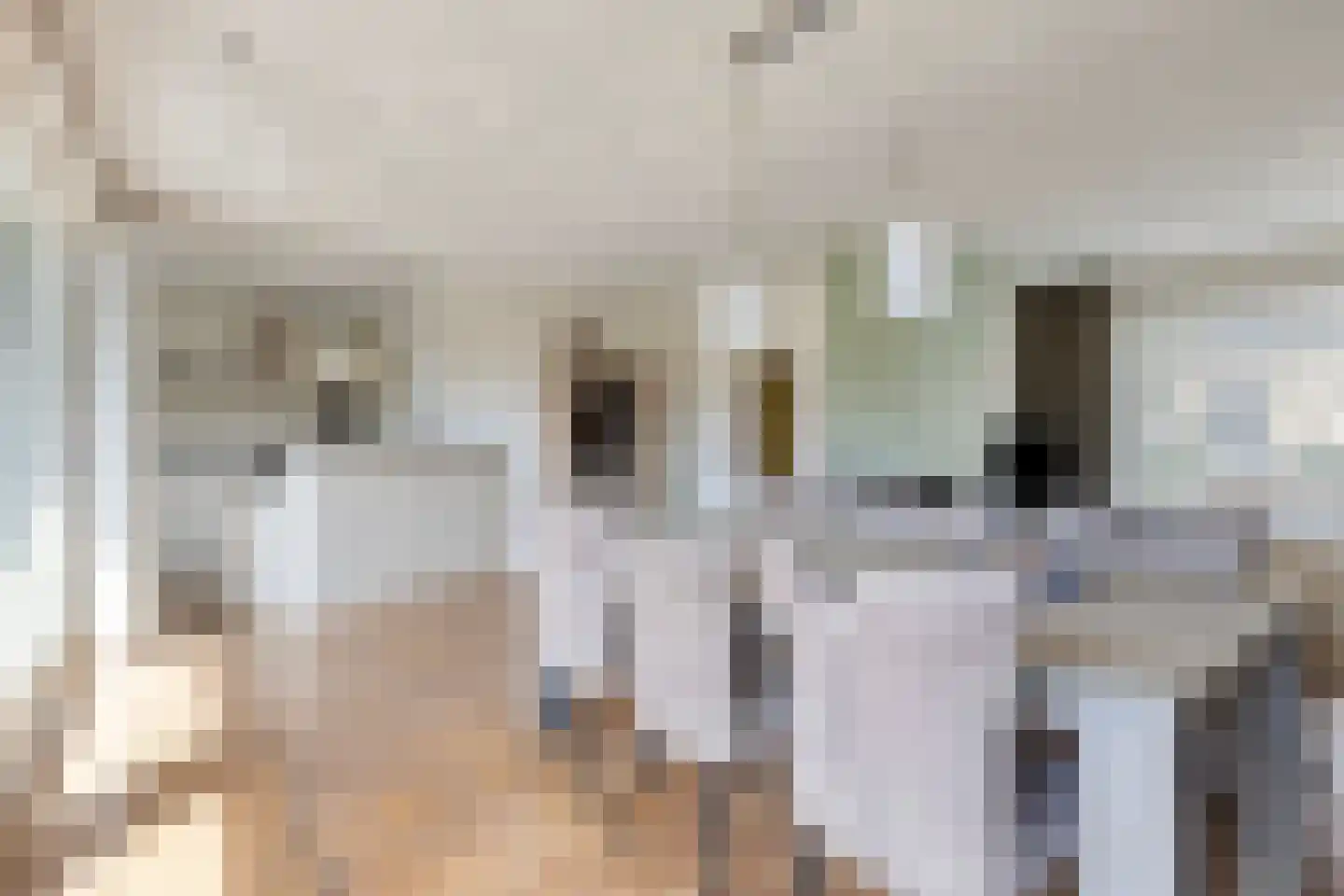 Julianasingel 39 Erp thumbnail 12