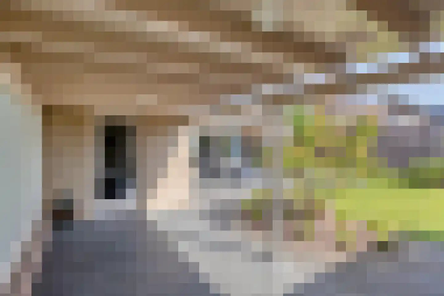 Julianasingel 39 Erp thumbnail 19