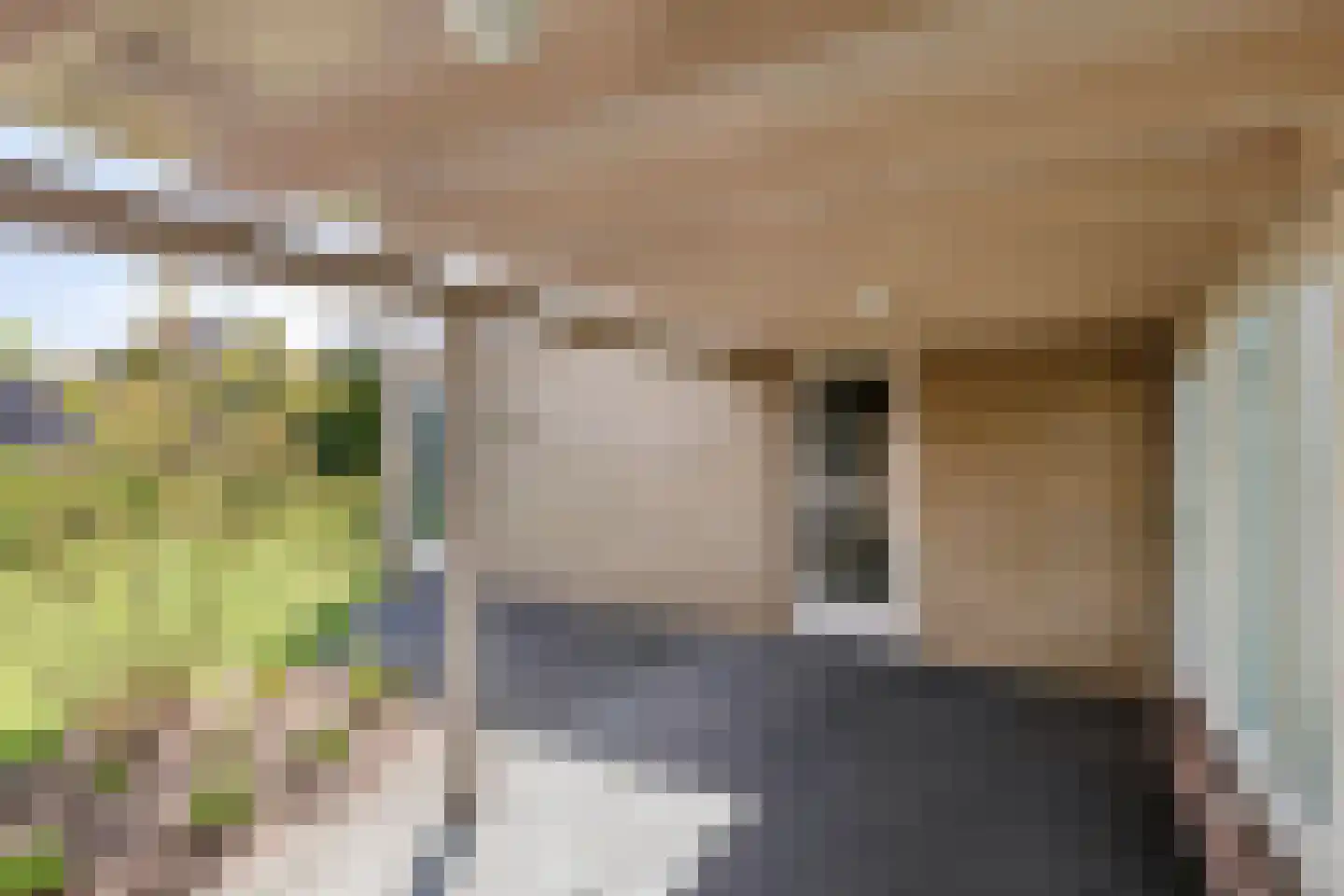 Julianasingel 39 Erp thumbnail 20