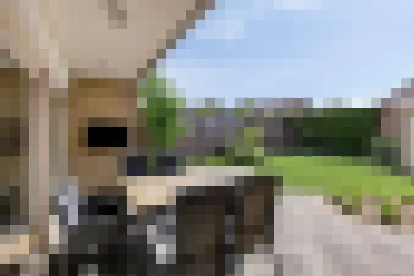 Julianasingel 39 Erp thumbnail 21