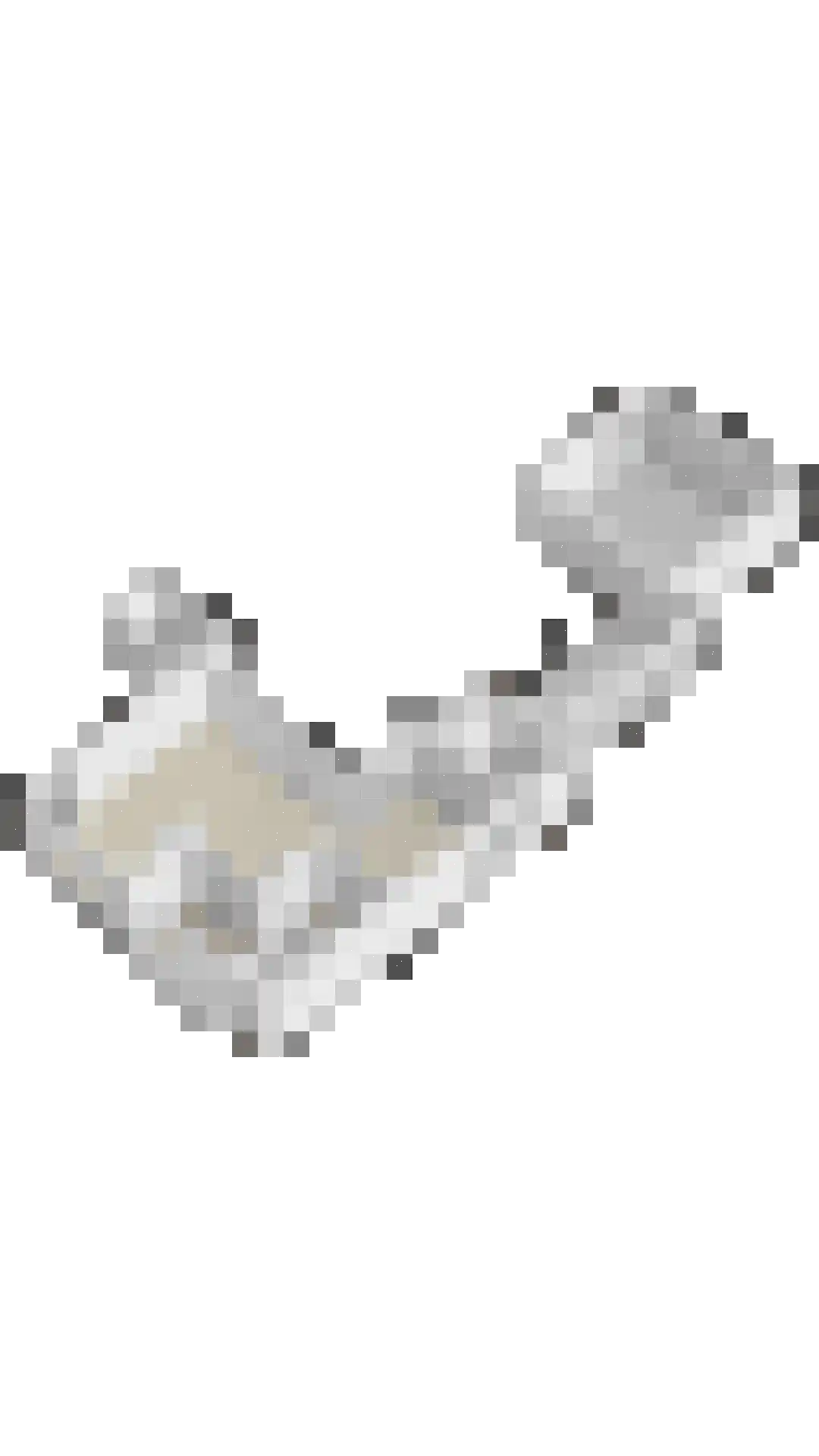 Julianasingel 39 Erp thumbnail 51