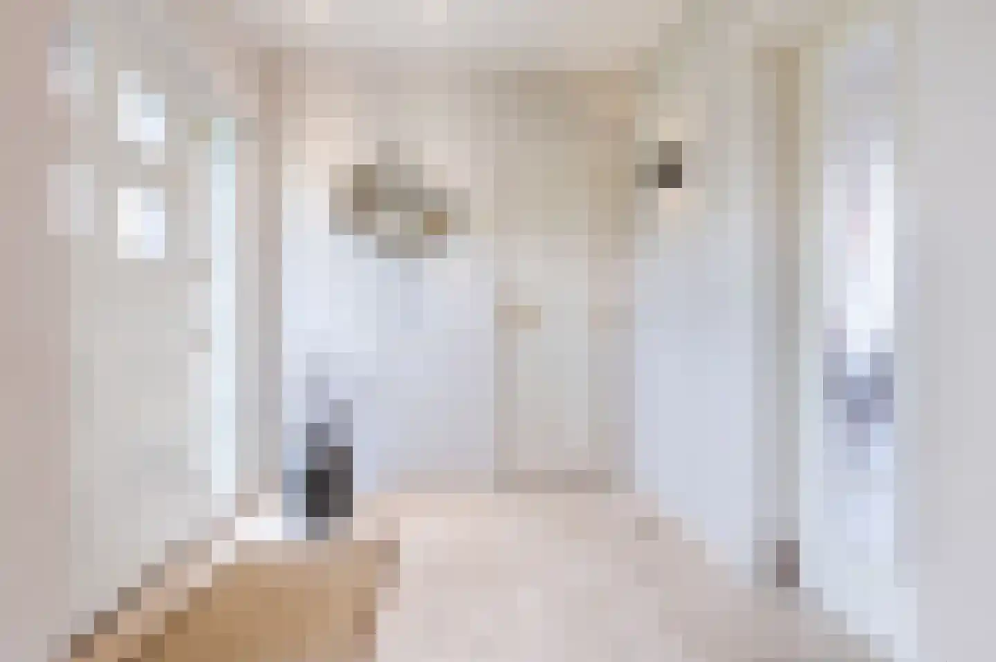Julianasingel 41 Erp thumbnail 13