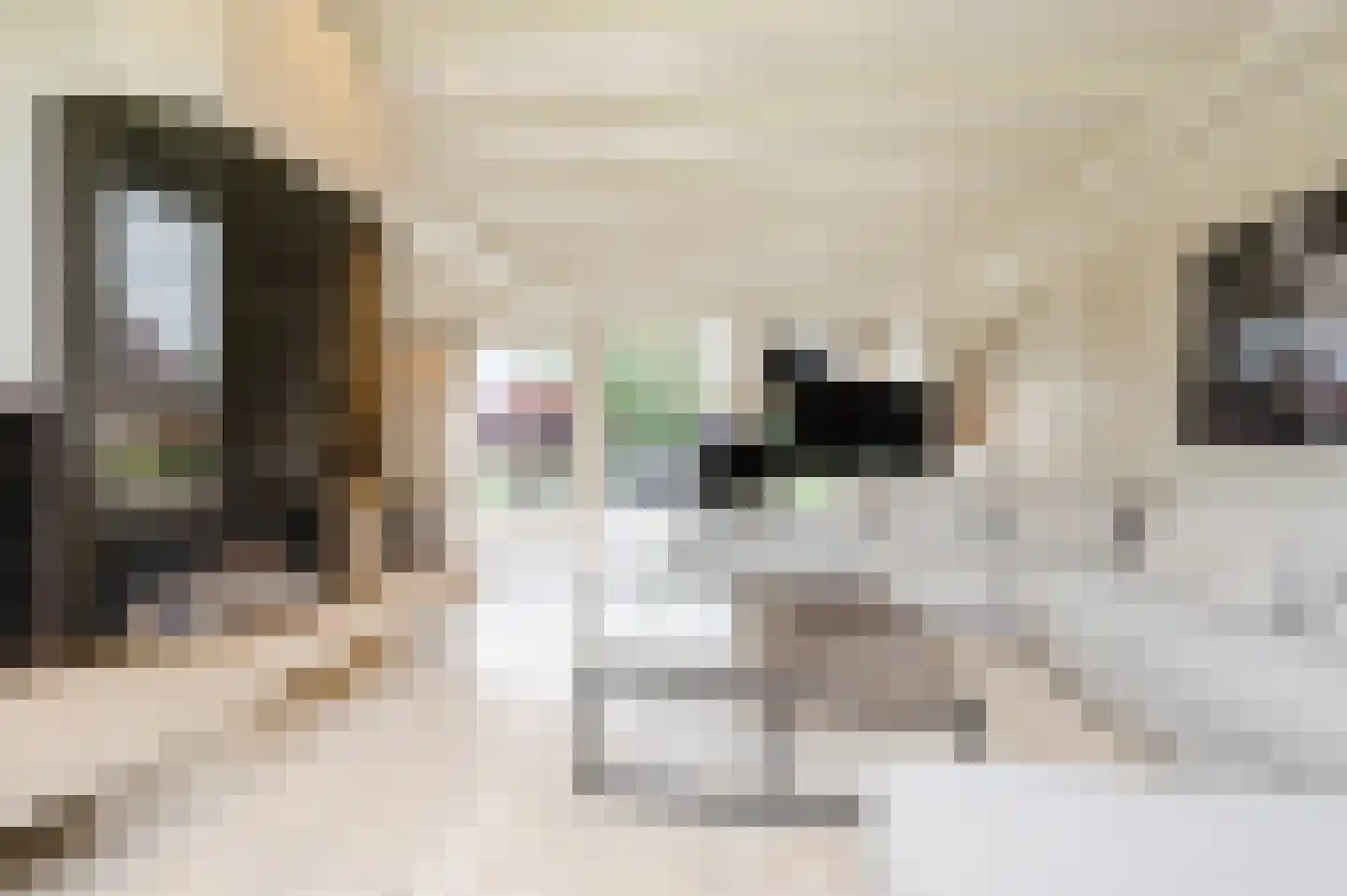 Julianasingel 41 Erp thumbnail 18