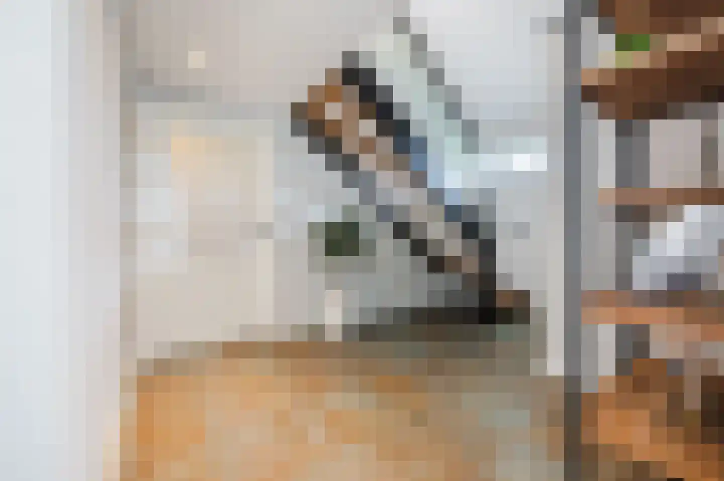 Julianasingel 41 Erp thumbnail 34