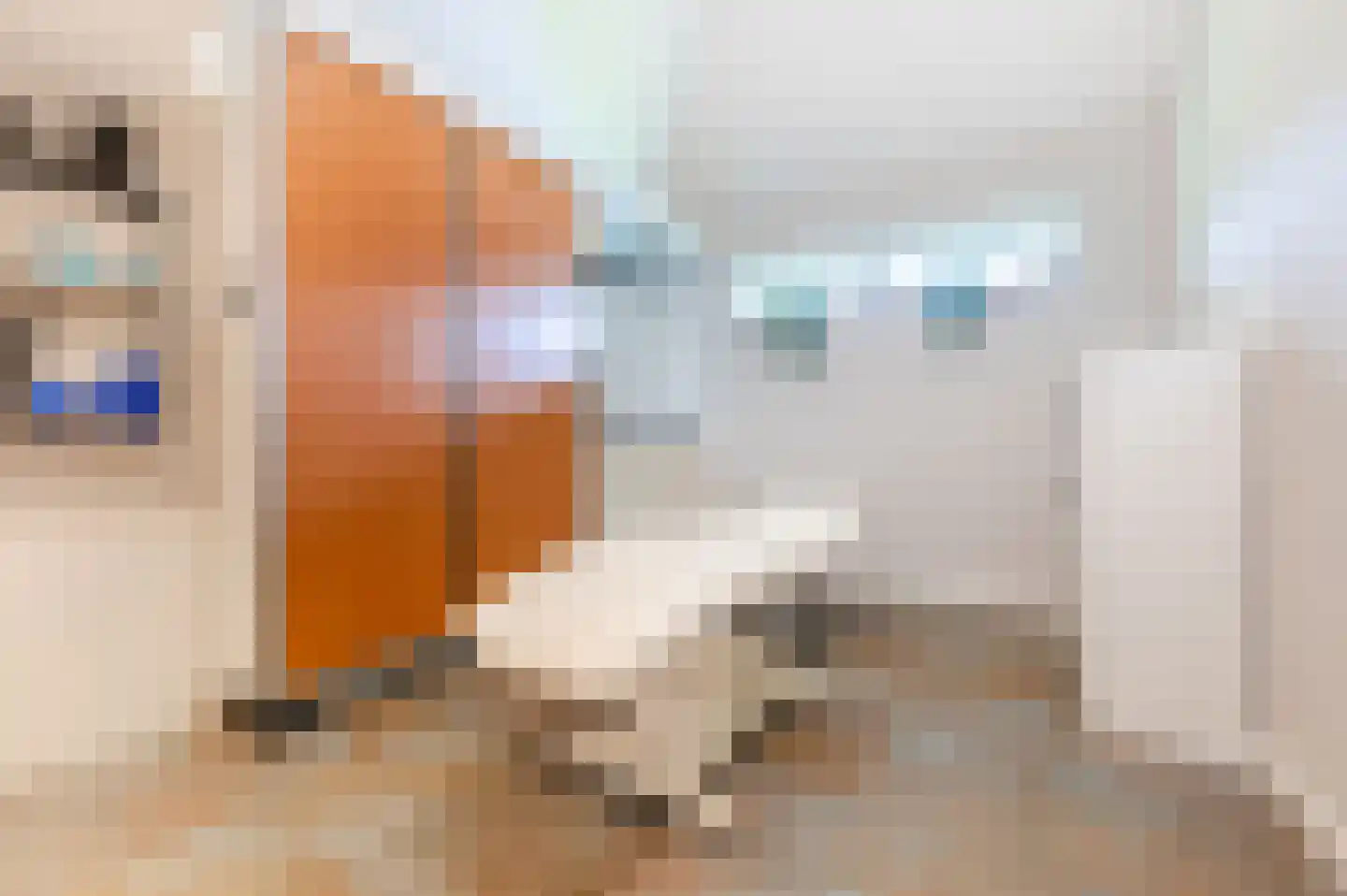 Julianasingel 41 Erp thumbnail 35