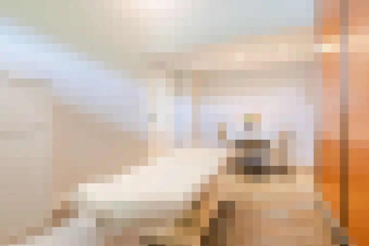 Julianasingel 41 Erp thumbnail 36