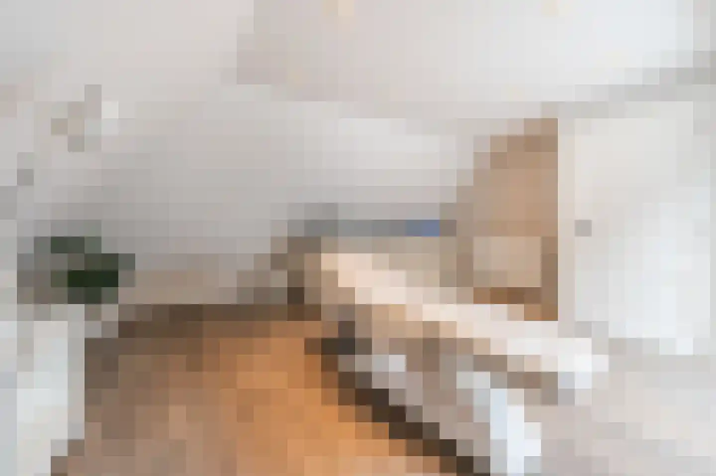 Julianasingel 41 Erp thumbnail 39