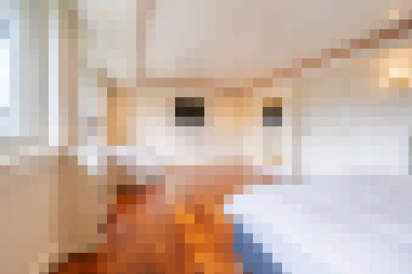 Julianasingel 41 Erp thumbnail 43