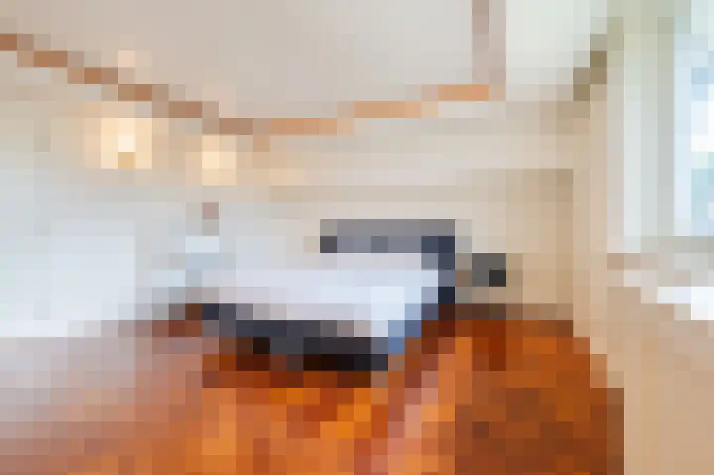 Julianasingel 41 Erp thumbnail 44
