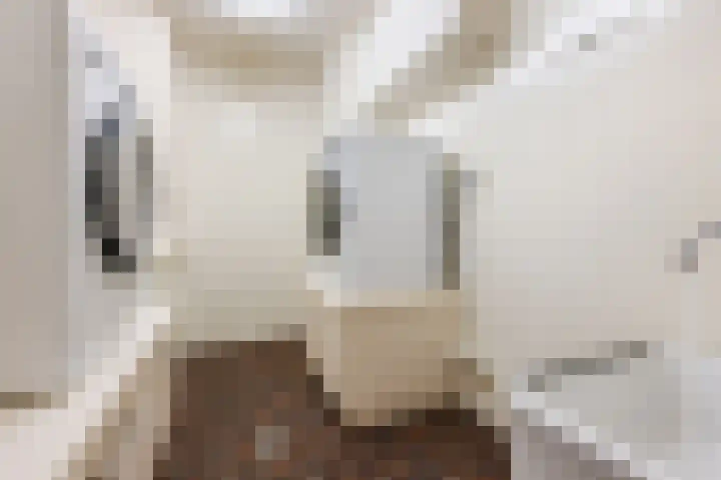 Julianasingel 41 Erp thumbnail 48