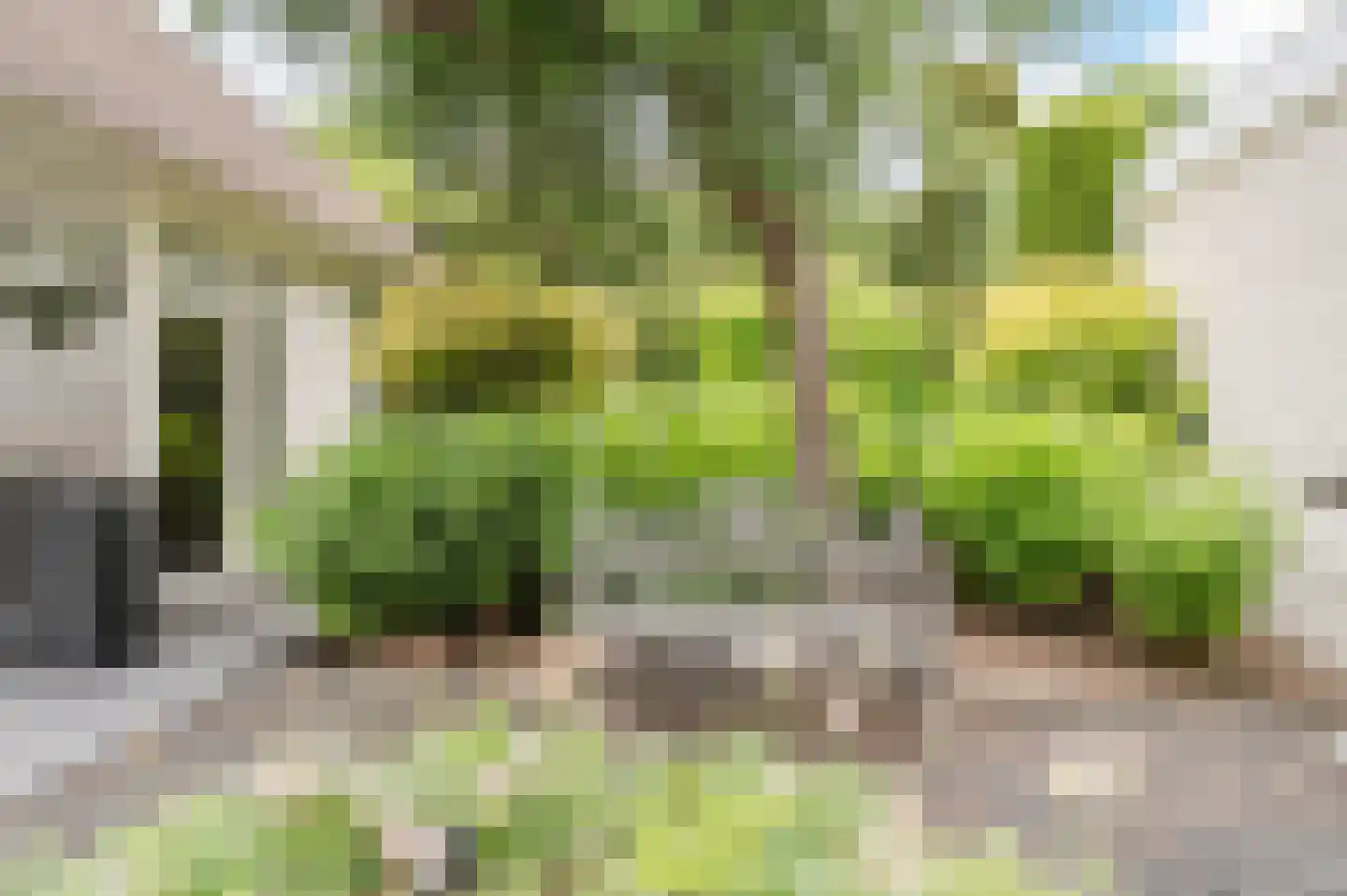 Julianasingel 41 Erp thumbnail 62