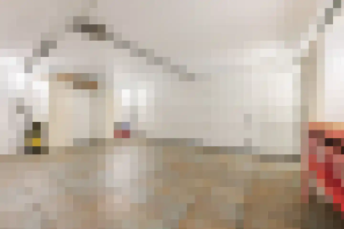 Julianasingel 41 Erp thumbnail 68