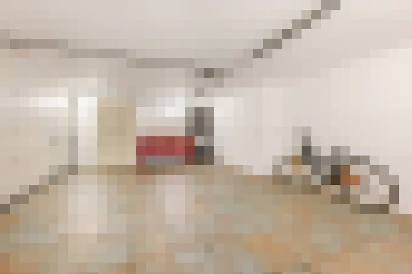 Julianasingel 41 Erp thumbnail 69