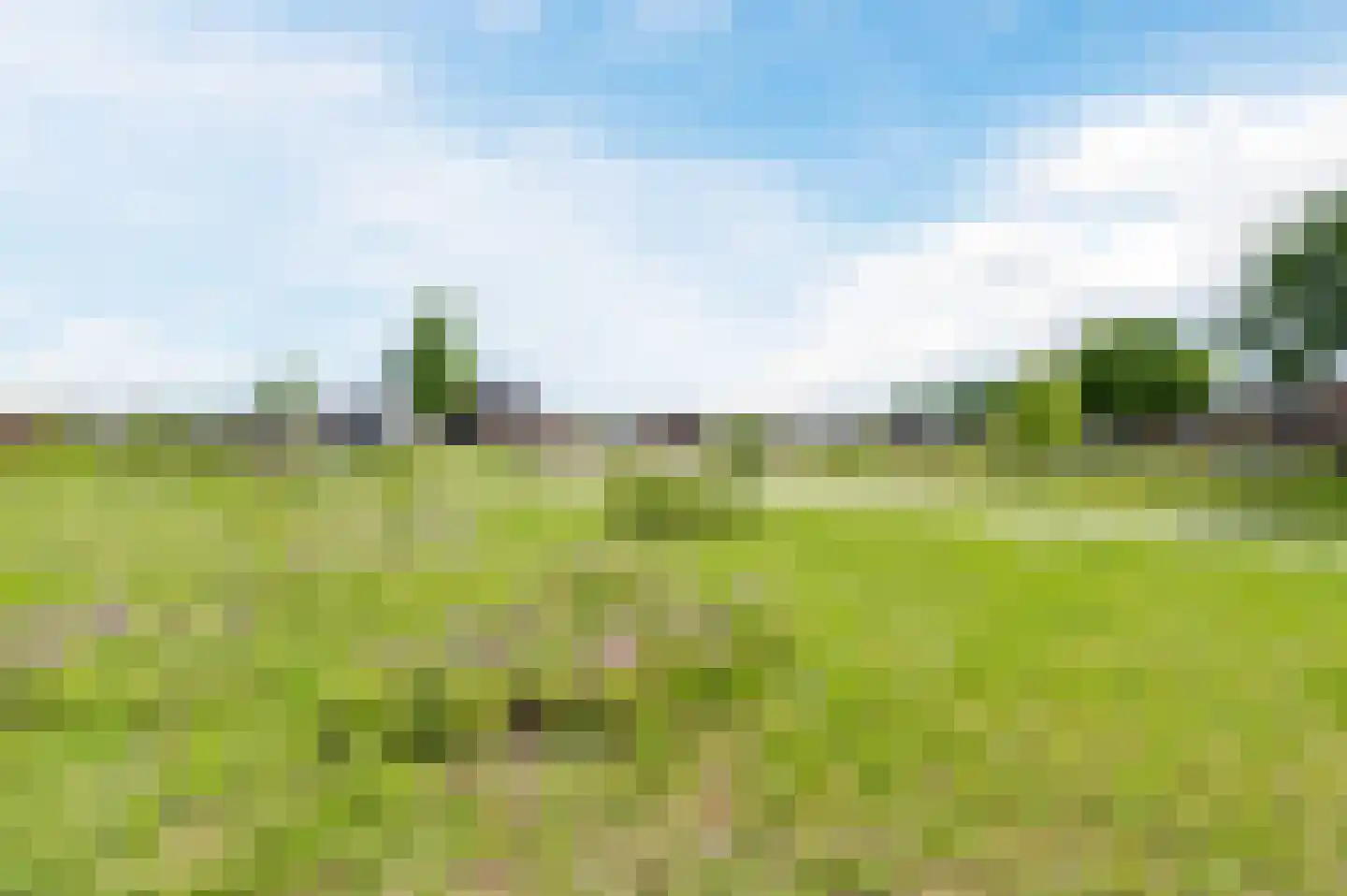 Julianasingel 41 Erp thumbnail 74