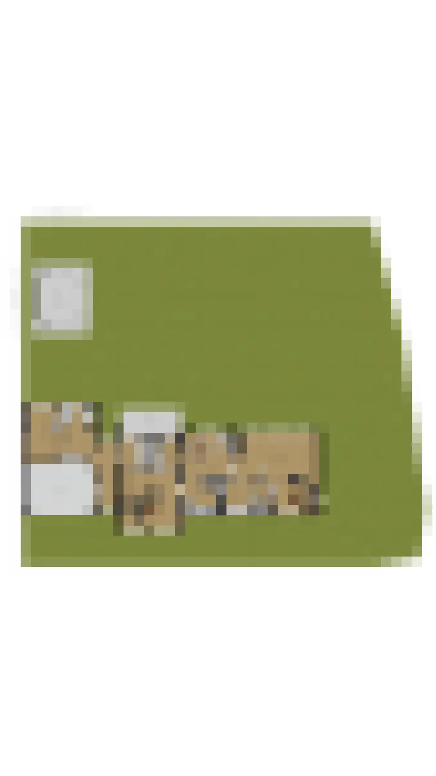 Julianasingel 41 Erp thumbnail 77