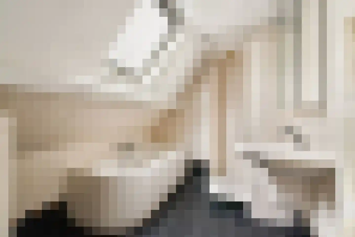 Julianasingel 6 Hendrik-Ido-Ambacht thumbnail 16