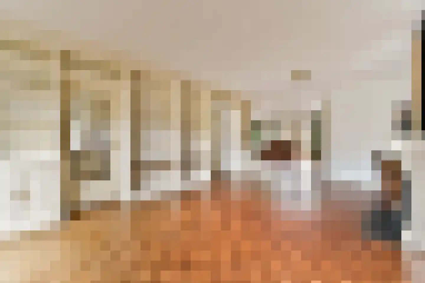 Julianasingel 6 Hendrik-Ido-Ambacht thumbnail 5