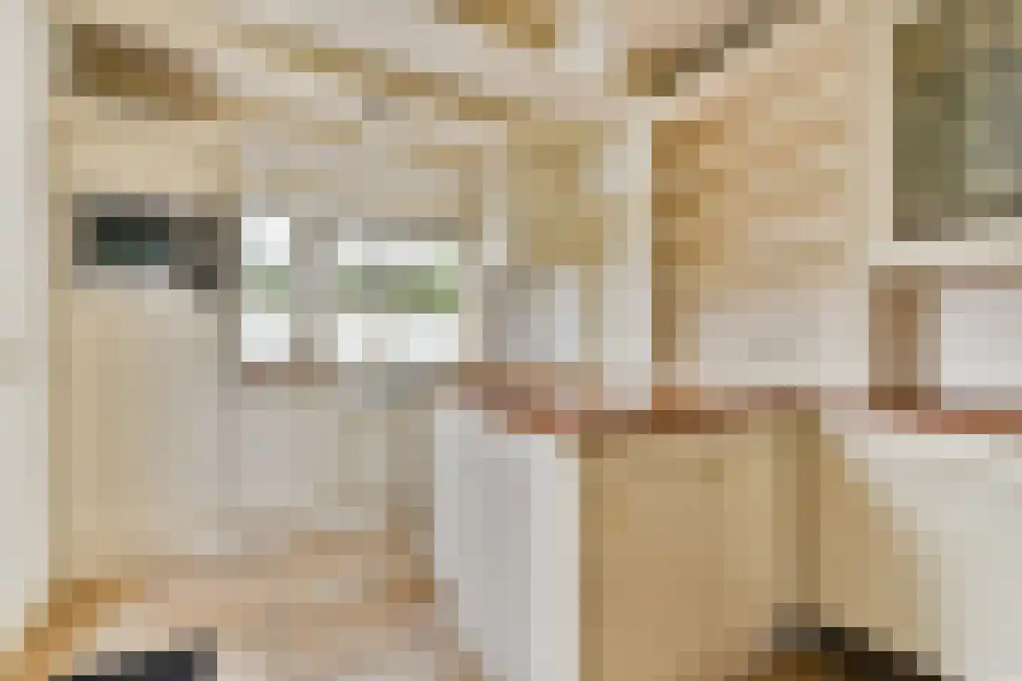 Julianasingel 6 Hendrik-Ido-Ambacht thumbnail 8