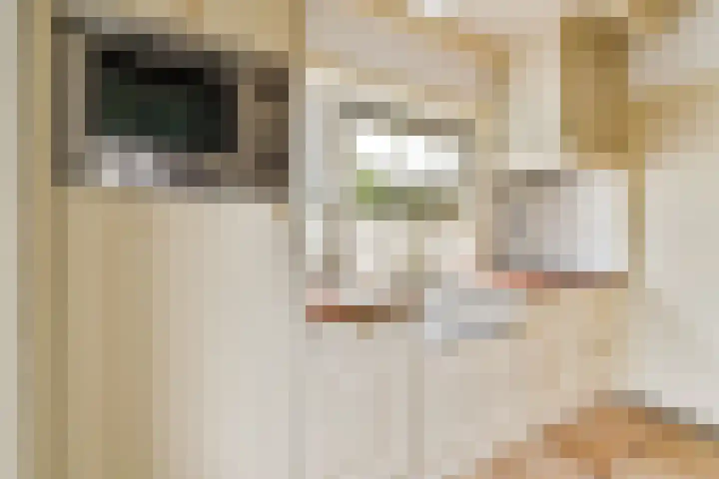 Julianasingel 6 Hendrik-Ido-Ambacht thumbnail 9
