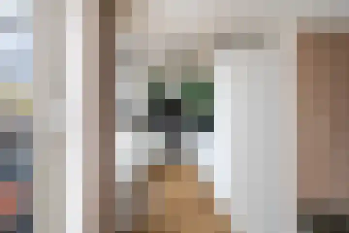 Julianasingel 7 A Vlaardingen thumbnail 12