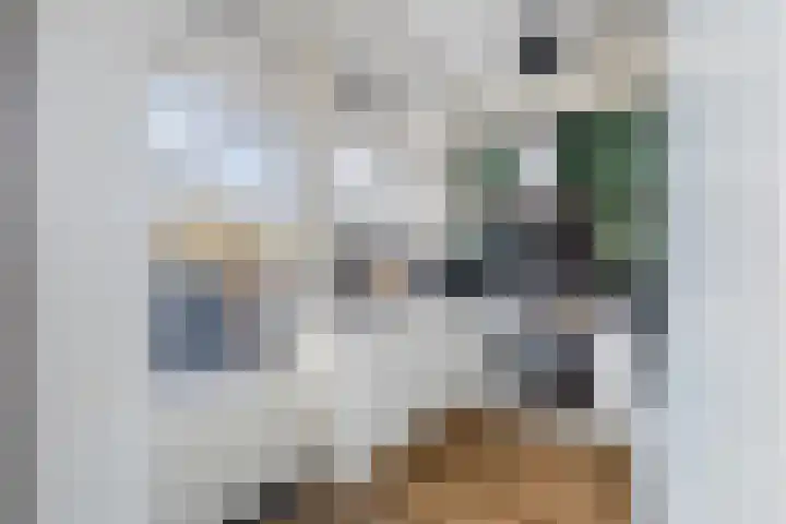 Julianasingel 7 A Vlaardingen thumbnail 13