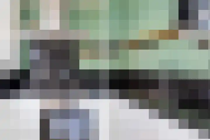 Julianasingel 7 A Vlaardingen thumbnail 15
