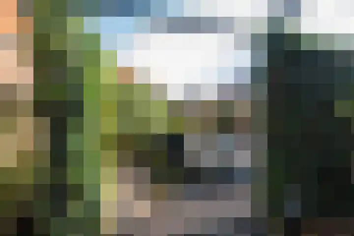 Julianasingel 7 A Vlaardingen thumbnail 24